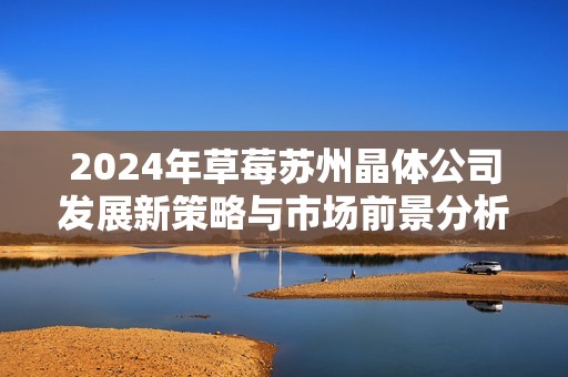 2024年草莓苏州晶体公司发展新策略与市场前景分析