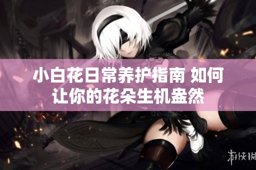 小白花日常养护指南 如何让你的花朵生机盎然