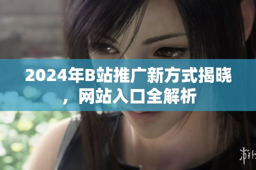 2024年B站推广新方式揭晓，网站入口全解析