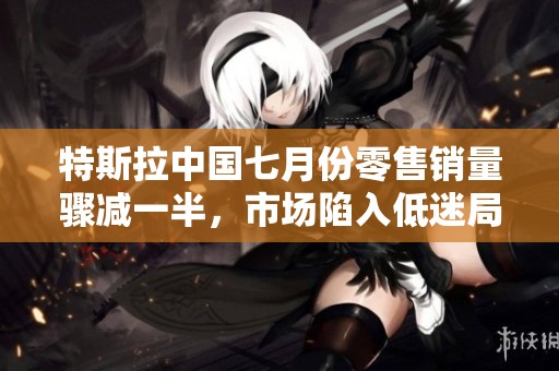 特斯拉中国七月份零售销量骤减一半，市场陷入低迷局面