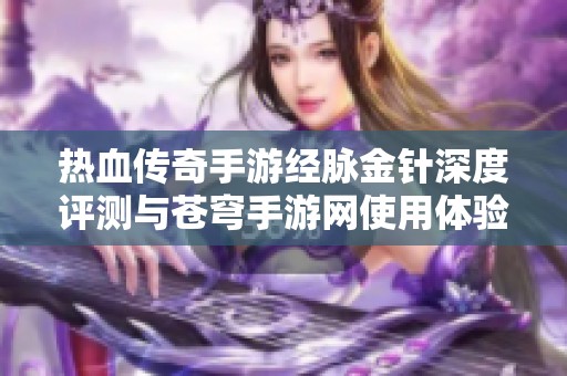 热血传奇手游经脉金针深度评测与苍穹手游网使用体验全面分析