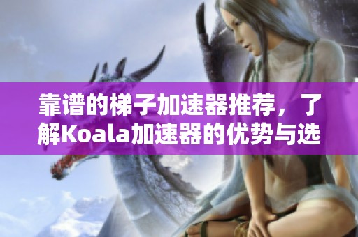 靠谱的梯子加速器推荐，了解Koala加速器的优势与选择指南