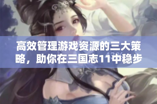 高效管理游戏资源的三大策略，助你在三国志11中稳步发展资金与粮草