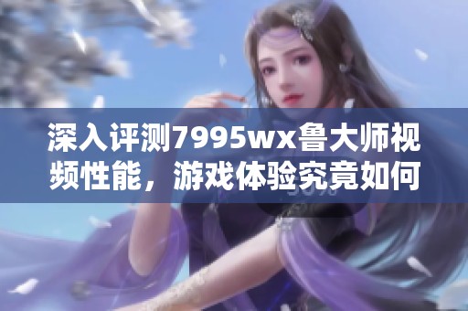 深入评测7995wx鲁大师视频性能，游戏体验究竟如何