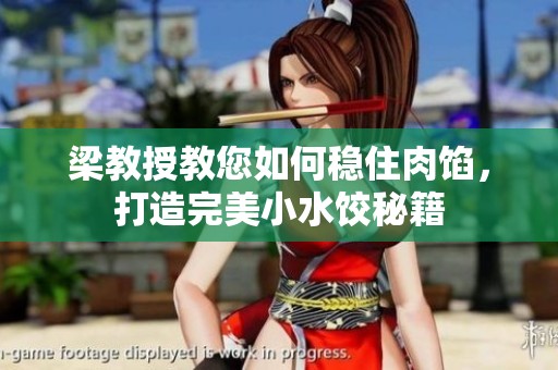 梁教授教您如何稳住肉馅，打造完美小水饺秘籍