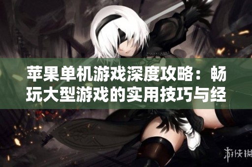 苹果单机游戏深度攻略：畅玩大型游戏的实用技巧与经验分享