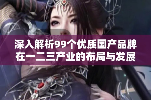 深入解析99个优质国产品牌在一二三产业的布局与发展
