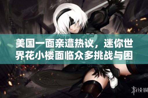 美国一面亲遭热议，迷你世界花小楼面临众多挑战与困惑