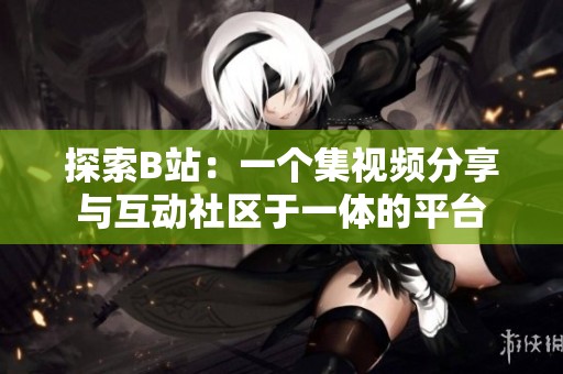探索B站：一个集视频分享与互动社区于一体的平台