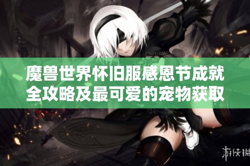魔兽世界怀旧服感恩节成就全攻略及最可爱的宠物获取指南