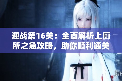 迎战第16关：全面解析上厕所之急攻略，助你顺利通关！