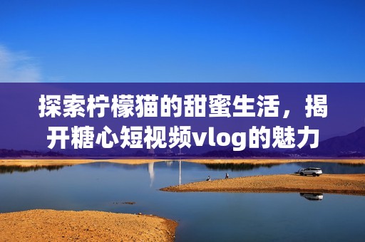 探索柠檬猫的甜蜜生活，揭开糖心短视频vlog的魅力