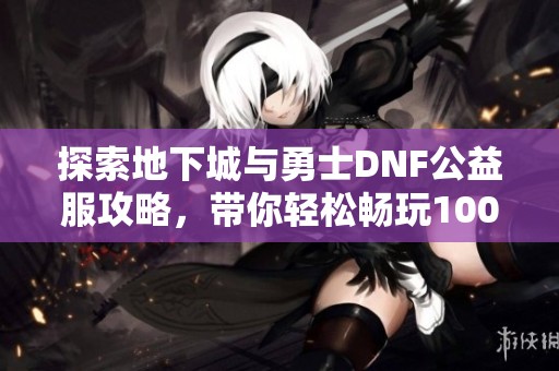 探索地下城与勇士DNF公益服攻略，带你轻松畅玩100级内容