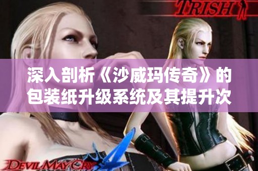 深入剖析《沙威玛传奇》的包装纸升级系统及其提升次数解析