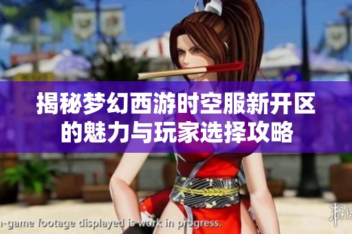 揭秘梦幻西游时空服新开区的魅力与玩家选择攻略