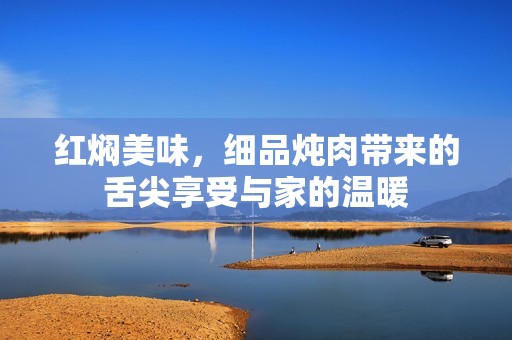 红焖美味，细品炖肉带来的舌尖享受与家的温暖