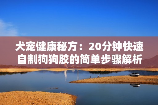 犬宠健康秘方：20分钟快速自制狗狗胶的简单步骤解析