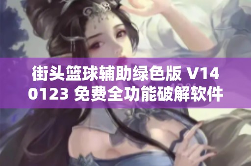 街头篮球辅助绿色版 V140123 免费全功能破解软件使用指南
