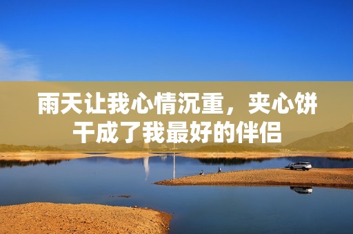 雨天让我心情沉重，夹心饼干成了我最好的伴侣
