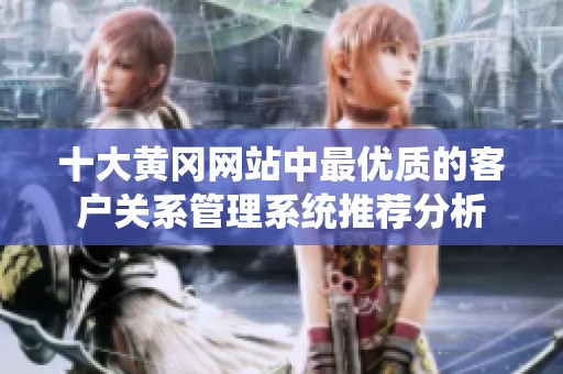 十大黄冈网站中最优质的客户关系管理系统推荐分析