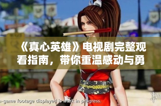 《真心英雄》电视剧完整观看指南，带你重温感动与勇气的故事