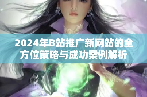 2024年B站推广新网站的全方位策略与成功案例解析