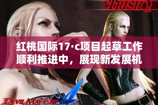 红桃国际17·c项目起草工作顺利推进中，展现新发展机遇