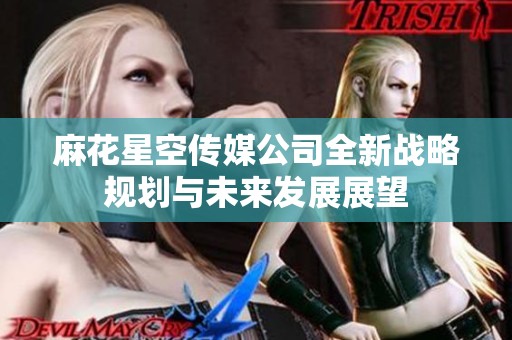 麻花星空传媒公司全新战略规划与未来发展展望