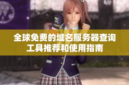 全球免费的域名服务器查询工具推荐和使用指南