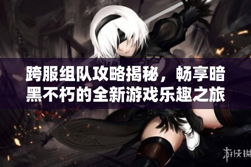 跨服组队攻略揭秘，畅享暗黑不朽的全新游戏乐趣之旅