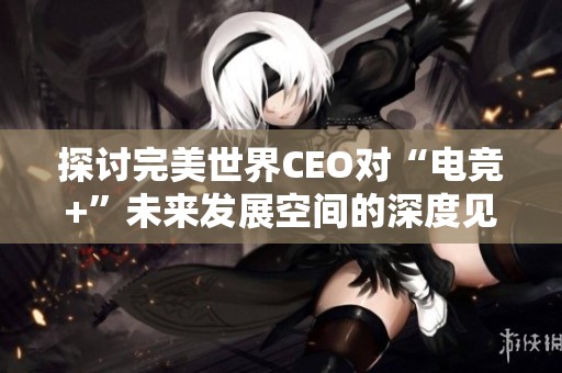 探讨完美世界CEO对“电竞+”未来发展空间的深度见解
