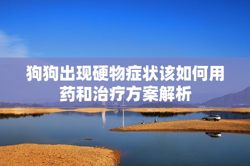 狗狗出现硬物症状该如何用药和治疗方案解析