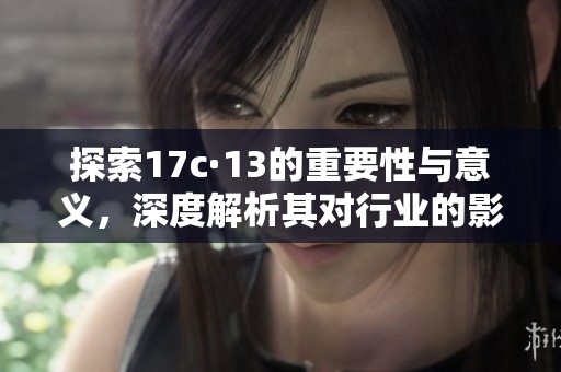 探索17c·13的重要性与意义，深度解析其对行业的影响