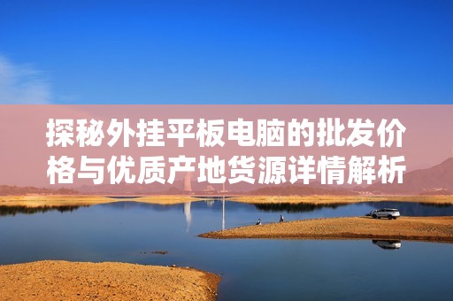 探秘外挂平板电脑的批发价格与优质产地货源详情解析