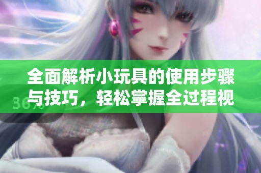 全面解析小玩具的使用步骤与技巧，轻松掌握全过程视频教程