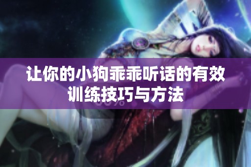 让你的小狗乖乖听话的有效训练技巧与方法