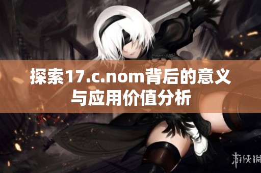 探索17.c.nom背后的意义与应用价值分析