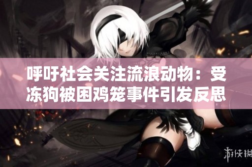 呼吁社会关注流浪动物：受冻狗被困鸡笼事件引发反思与关怀