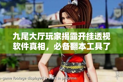九尾大厅玩家揭露开挂透视软件真相，必备翻本工具了解一下