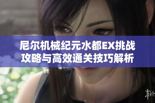 尼尔机械纪元水都EX挑战攻略与高效通关技巧解析