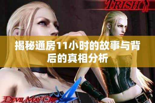 揭秘通房11小时的故事与背后的真相分析