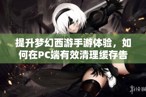 提升梦幻西游手游体验，如何在PC端有效清理缓存告别卡顿问题