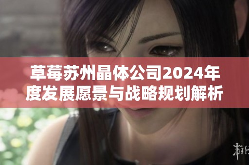 草莓苏州晶体公司2024年度发展愿景与战略规划解析