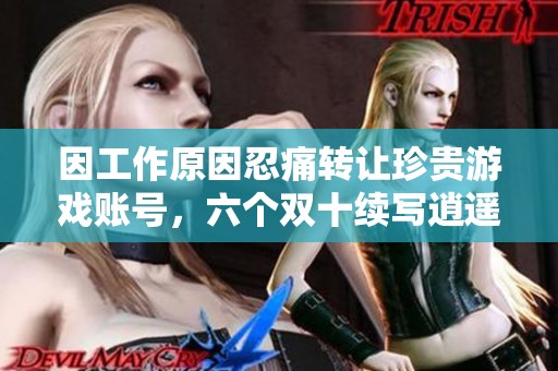 因工作原因忍痛转让珍贵游戏账号，六个双十续写逍遥梦想