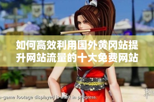 如何高效利用国外黄冈站提升网站流量的十大免费网站推广方法