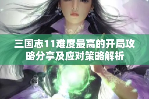 三国志11难度最高的开局攻略分享及应对策略解析