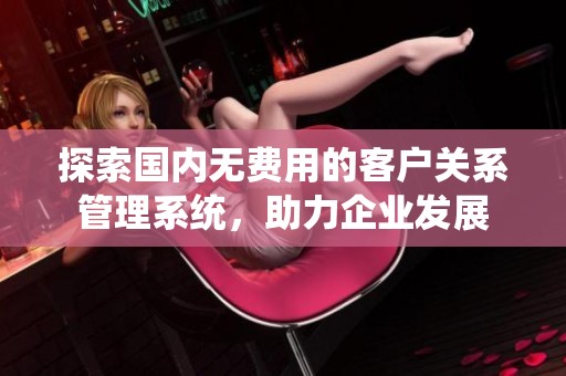 探索国内无费用的客户关系管理系统，助力企业发展