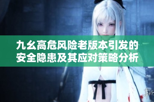 九幺高危风险老版本引发的安全隐患及其应对策略分析