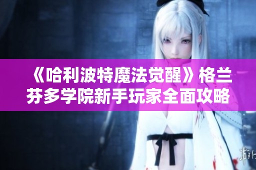 《哈利波特魔法觉醒》格兰芬多学院新手玩家全面攻略指南