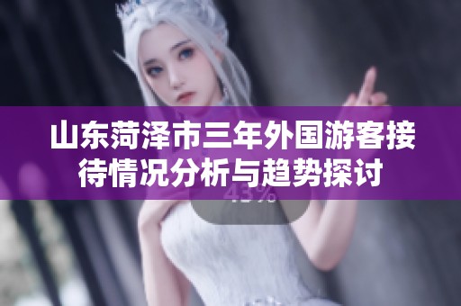 山东菏泽市三年外国游客接待情况分析与趋势探讨